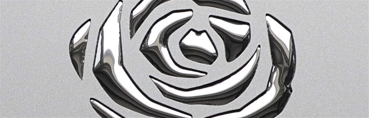 Poza Hpl Punch Line 3D Roses Silver PF met/Silver - PL-3DROSESSilverPFmetSilver [2]